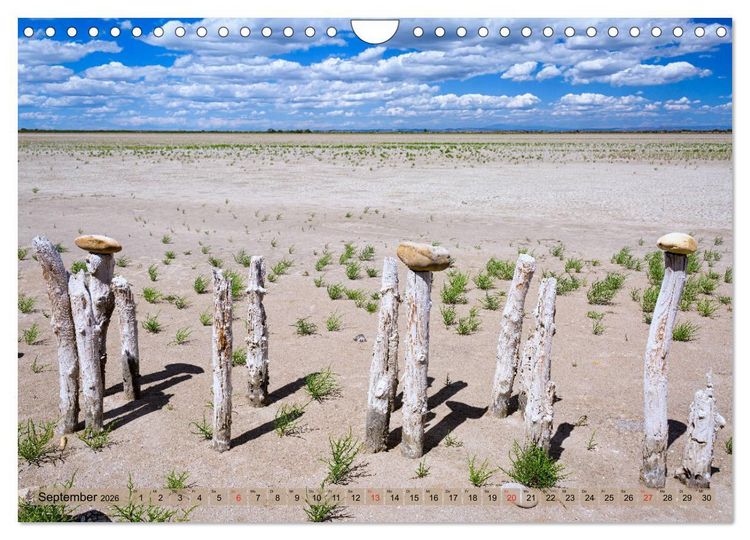 Produktbild: Camargue - Der wilde S&uuml;den Frankreichs (Wandkalender 2026 DIN A4 quer), CALVENDO Monatskalender
