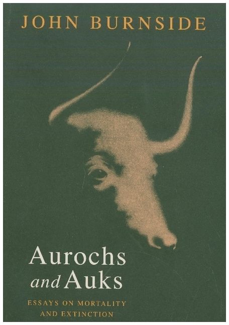 Produktbild: Aurochs and Auks