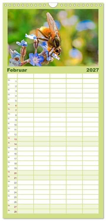 Produktbild: Familienplaner 2027 - INSEKTEN - Makrofotografie in freier Natur mit 5 Spalten (Wandkalender, 21 x 45 cm) CALVENDO