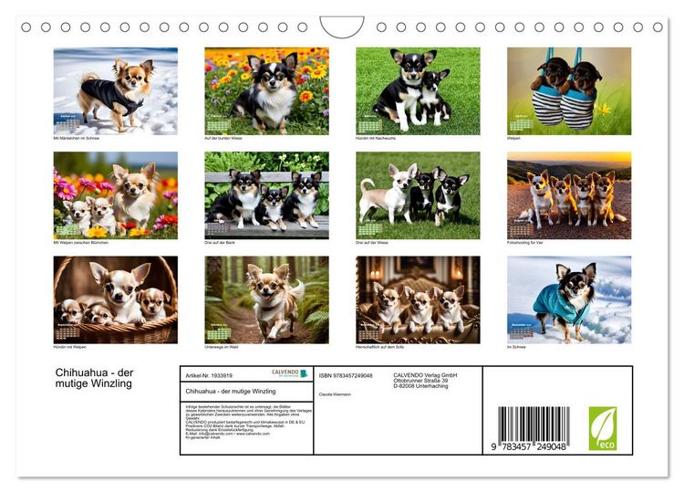 Produktbild: Chihuahua - der mutige Winzling (Wandkalender 2026 DIN A4 quer), CALVENDO Monatskalender