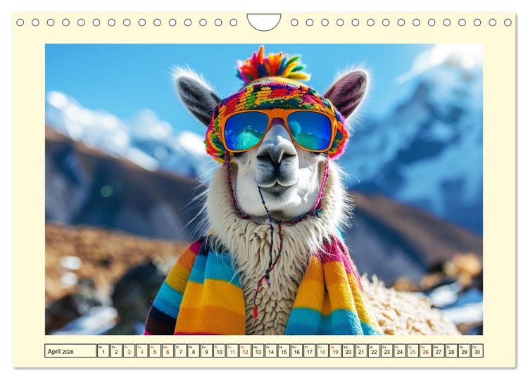Produktbild: Lamas auf Tour. Perus flauschige Fashion-Ikonen (Wandkalender 2026 DIN A4 quer), CALVENDO Monatskalender