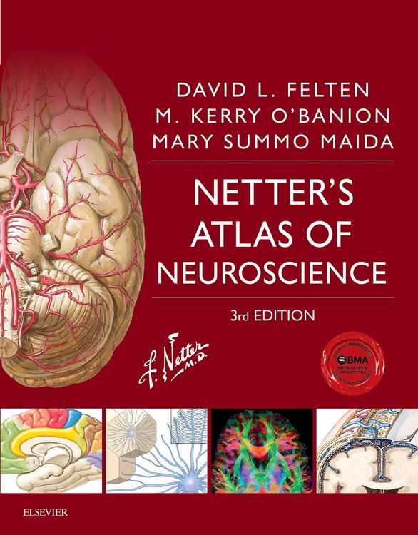 Produktbild: Netter's Atlas of Neuroscience E-Book