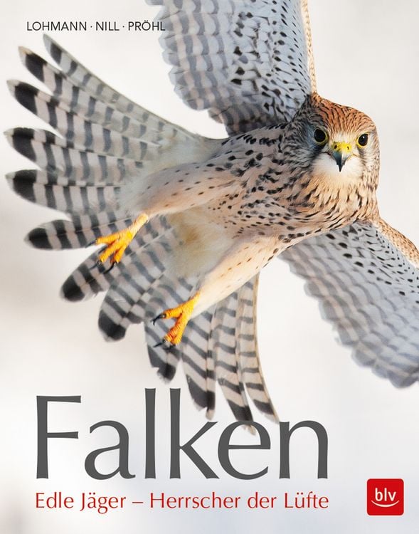 Produktbild: Falken