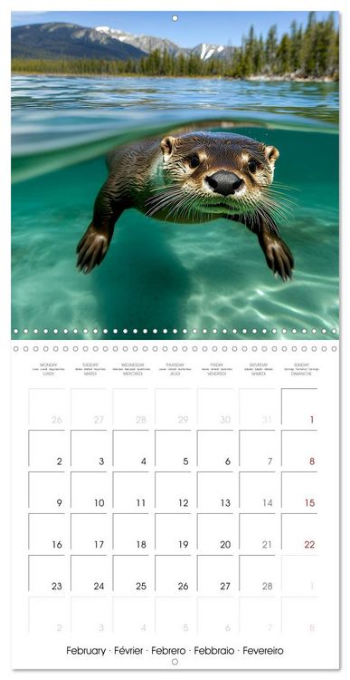 Produktbild: Cute Otter Moments (Wall Calendar 2026 12 &times; 12 Inch) CALVENDO 12 Month Wall Calendar