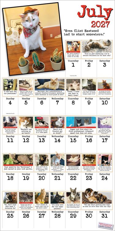Produktbild: Bad Cat Wall Calendar 2027