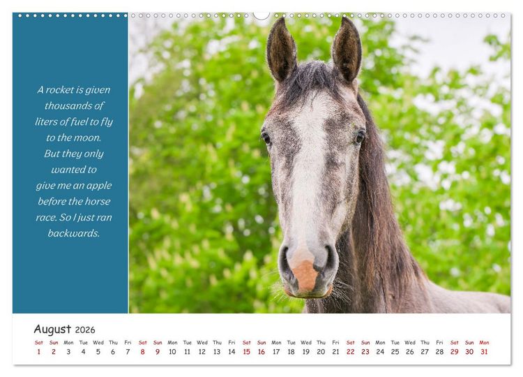 Produktbild: Animals like humour (High Quality Premium Wall Calendar 2026 DIN A2 landscape),CALVENDO 12 Month Wall Calendar