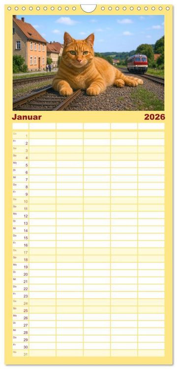 Produktbild: Familienplaner 2026 - Katzen Weltherrschaft mit 5 Spalten (Wandkalender, 21 x 45 cm) CALVENDO