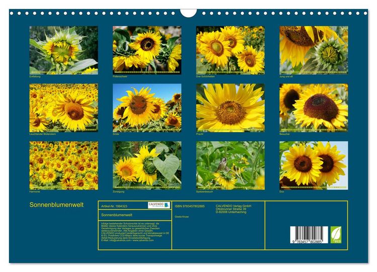 Produktbild: Sonnenblumenwelt (Wandkalender 2026 DIN A3 quer), CALVENDO Monatskalender