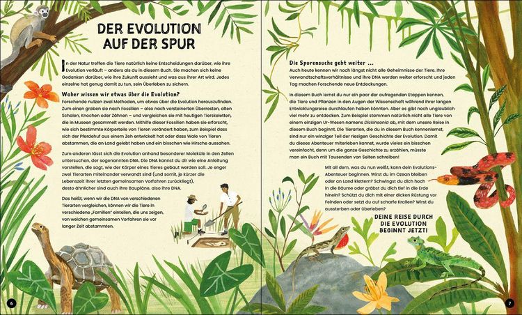 Produktbild: Evolution - Aussterben oder &uuml;berleben? Du entscheidest!