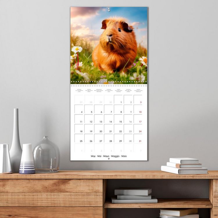 Produktbild: Sweet GUINEA PIGS (Wall Calendar 2026 12 &times; 12 Inch) CALVENDO 12 Month Wall Calendar