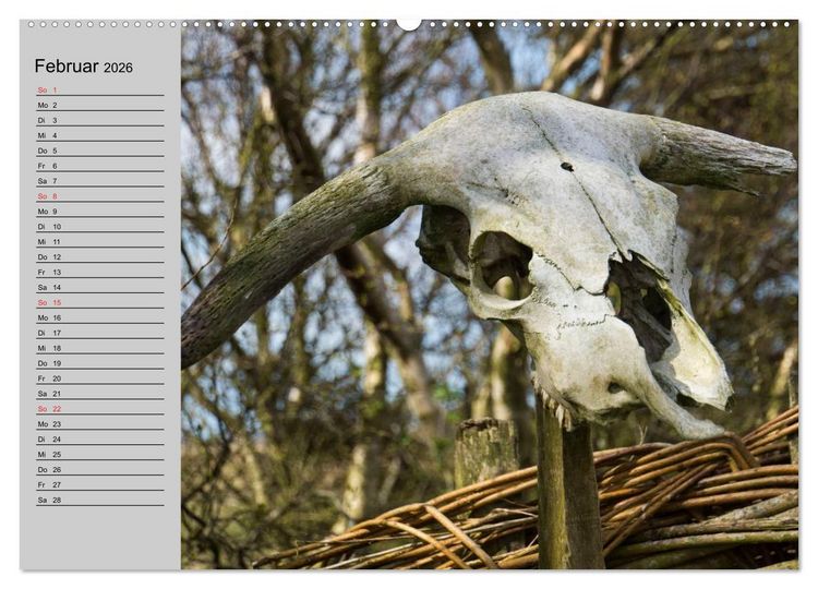 Produktbild: D&auml;nemark - Umgebung von Hvide Sande (hochwertiger Premium Wandkalender 2026 DIN A2 quer), Kunstdruck in Hochglanz