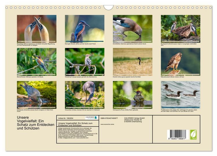 Produktbild: Unsere Vogelvielfalt: Ein Schatz zum Entdecken und Sch&uuml;tzen (Wandkalender 2026 DIN A3 quer), CALVENDO Monatskalender