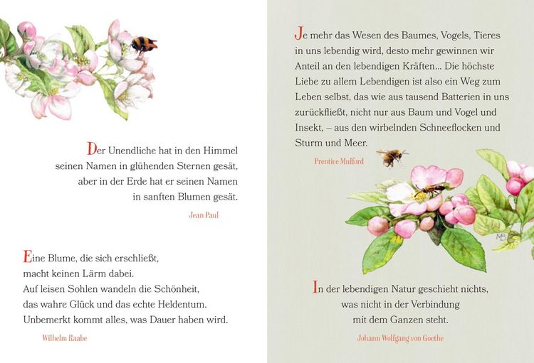 Produktbild: Der Weg zum Gl&uuml;ck f&uuml;hrt durch den Garten