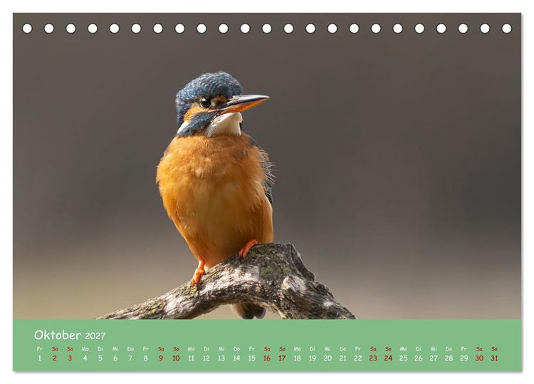 Produktbild: Alcedo atthis. Der Eisvogel (Tischkalender 2027 DIN A5 quer), CALVENDO Monatskalender