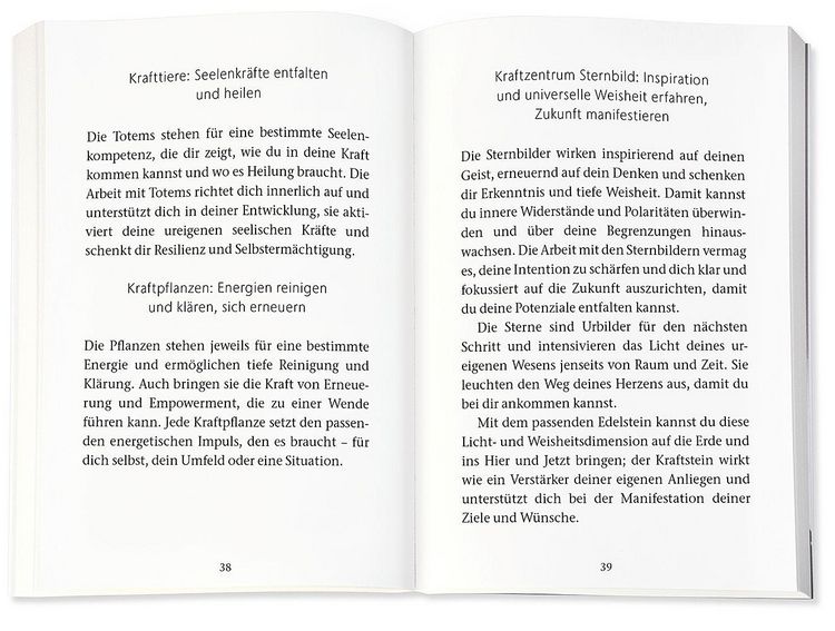 Produktbild: Das heilende Orakel der Rauhn&auml;chte