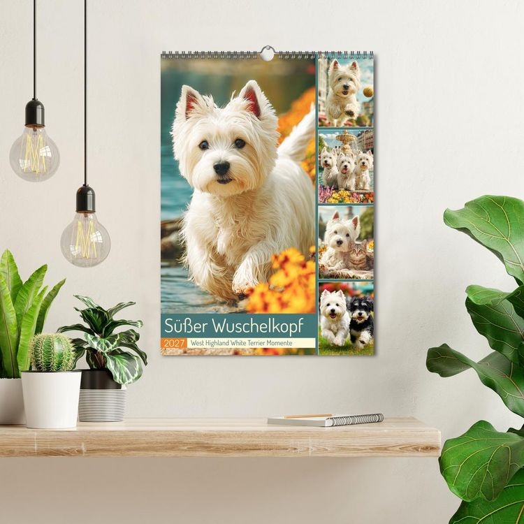 Produktbild: S&uuml;&szlig;er Wuschelkopf. West Highland White Terrier Momente (Wandkalender 2027 DIN A3 hoch), CALVENDO Monatskalender