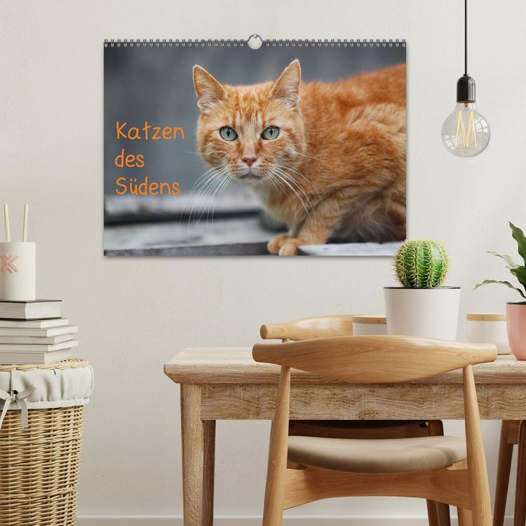 Produktbild: Katzen des S&uuml;dens (Wandkalender 2026 DIN A3 quer), CALVENDO Monatskalender