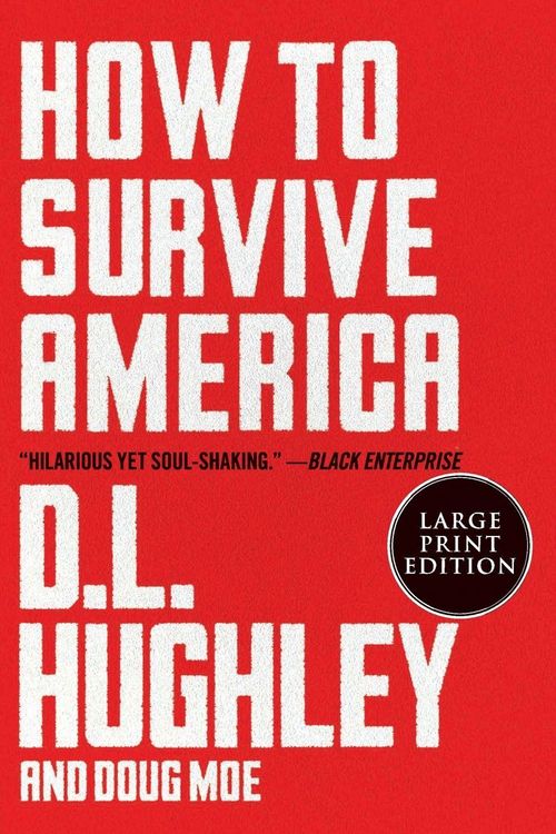Produktbild: How to Survive America LP