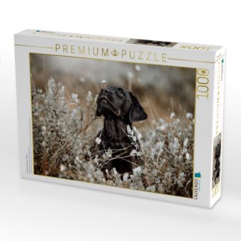 Produktbild: CALVENDO Puzzle Labrador Retriever Welpe | 1000 Teile Lege-Gr&ouml;&szlig;e 64x48cm Foto-Puzzle f&uuml;r gl&uuml;ckliche Stunden