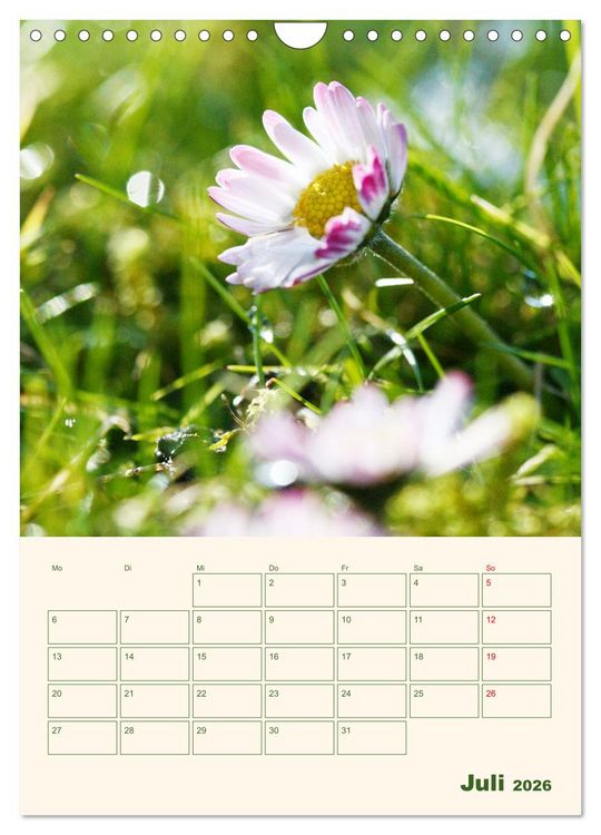 Produktbild: Vertr&auml;umte G&auml;nsebl&uuml;mchen (Wandkalender 2026 DIN A4 hoch), CALVENDO Monatskalender