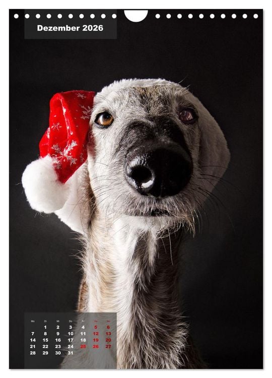Produktbild: UNDERDOG - Windhundportraits (Wandkalender 2026 DIN A4 hoch), CALVENDO Monatskalender