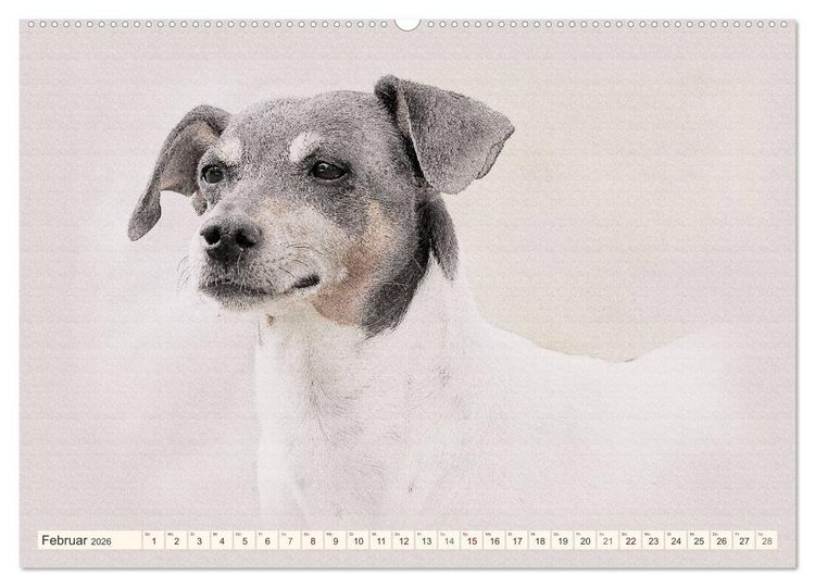Produktbild: Bodeguero Andaluz 2026 (Wandkalender 2026 DIN A2 quer), CALVENDO Monatskalender