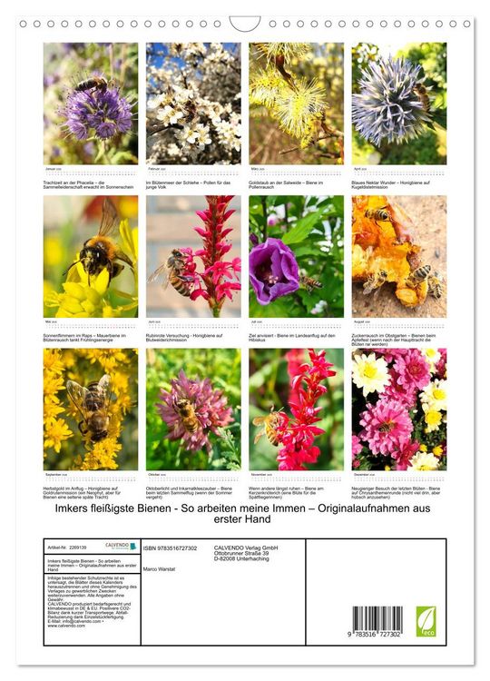 Produktbild: Imkers flei&szlig;igste Bienen - So arbeiten meine Immen &ndash; Originalaufnahmen aus erster Hand (Wandkalender 2026 DIN A3 hoch), CALVENDO Monatskalender