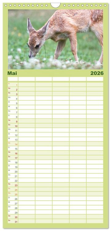 Produktbild: Familienplaner 2026 - Heimische Tiere - Rehe mit 5 Spalten (Wandkalender, 21 x 45 cm) CALVENDO
