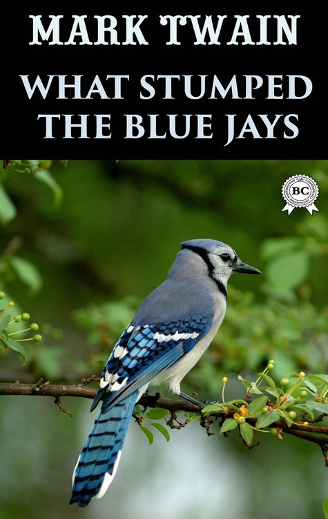 Produktbild: What Stumped the Blue Jays