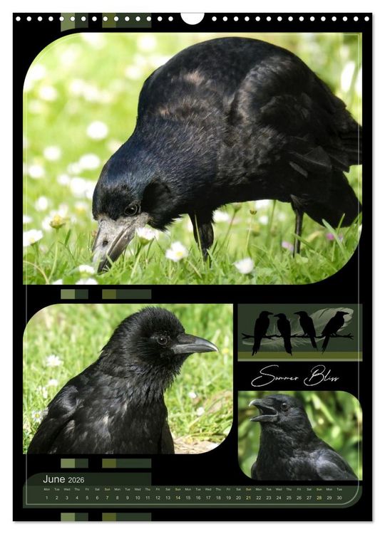 Produktbild: Crows - Through the Seasons (Wall Calendar 2026 DIN A3 portrait), CALVENDO 12 Month Wall Calendar