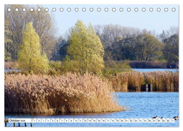 Produktbild: Land Brandenburg - Natur und Erholung im m&auml;rkischen Land (Tischkalender 2026 DIN A5 quer), CALVENDO Monatskalender