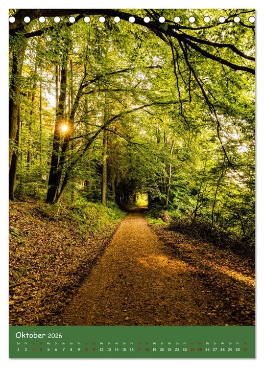 Produktbild: Ich bin dann mal im Wald (Tischkalender 2026 DIN A5 hoch), CALVENDO Monatskalender