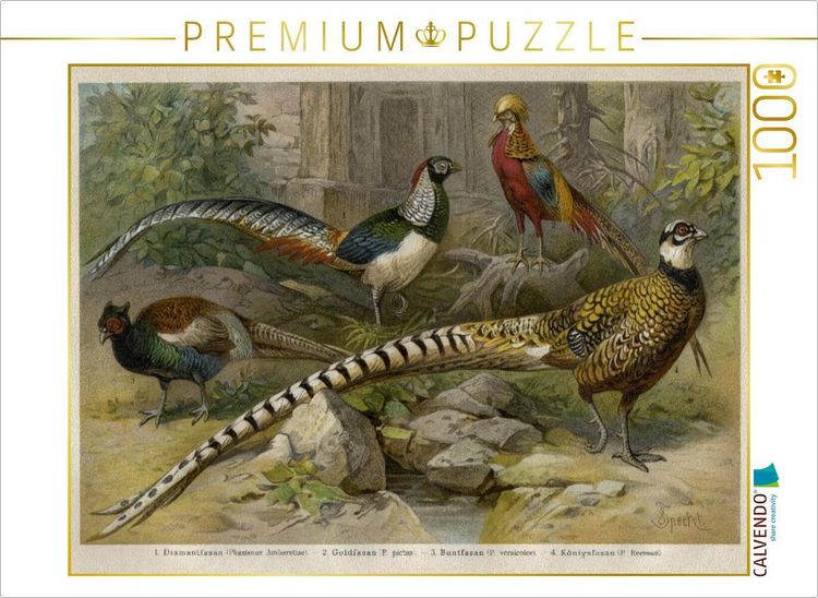 Produktbild: CALVENDO Puzzle Fasanen, K&uuml;nstler: Friedrich Specht (1839-1909) | 1000 Teile Lege-Gr&ouml;&szlig;e 64x48cm Foto-Puzzle f&uuml;r gl&uuml;ckliche Stunden