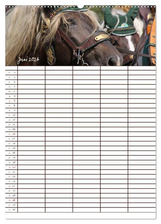 Produktbild: Der Kaltblut-Familienplaner (hochwertiger Premium Wandkalender 2026 DIN A2 hoch), Kunstdruck in Hochglanz