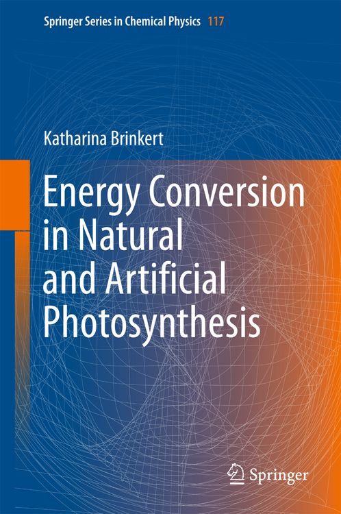 Produktbild: Energy Conversion in Natural and Artificial Photosynthesis