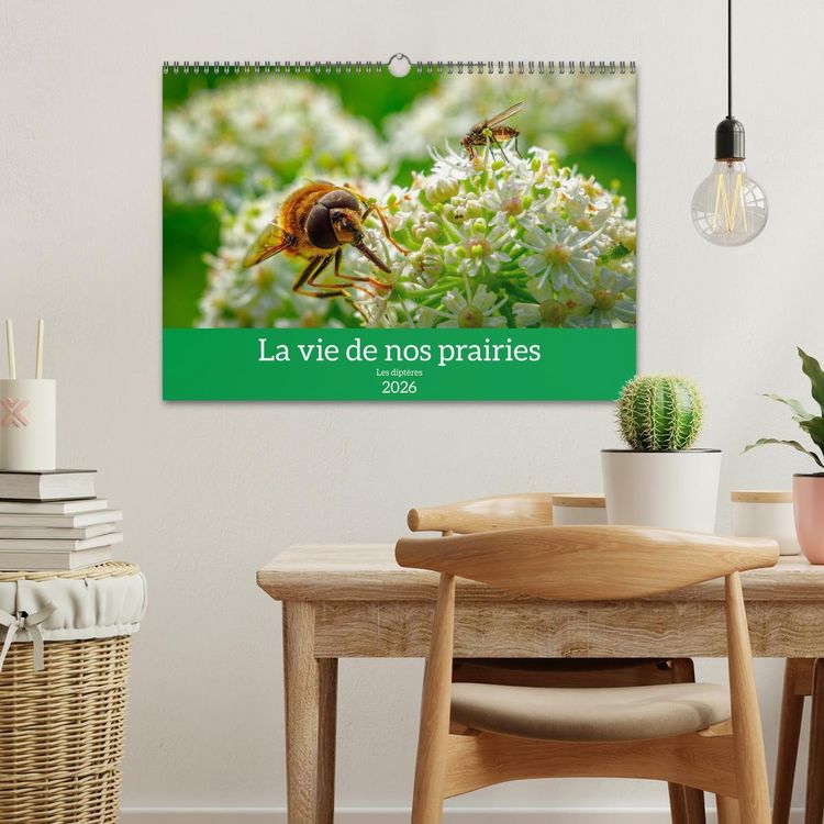 Produktbild: La vie de nos prairies - Les dipt&egrave;res (Calendrier mural 2026 DIN A3 vertical), CALVENDO calendrier mensuel