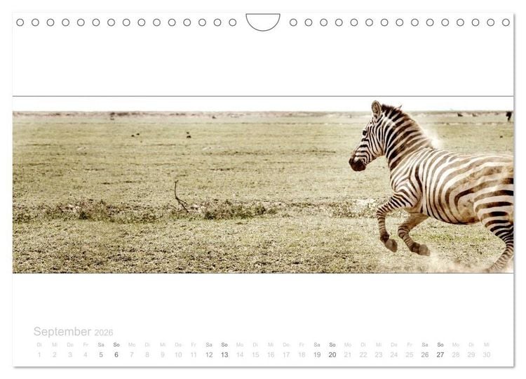 Produktbild: Serengeti Panorama (Wandkalender 2026 DIN A4 quer), CALVENDO Monatskalender