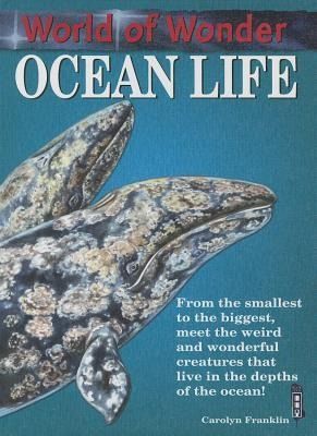 Produktbild: Ocean Life