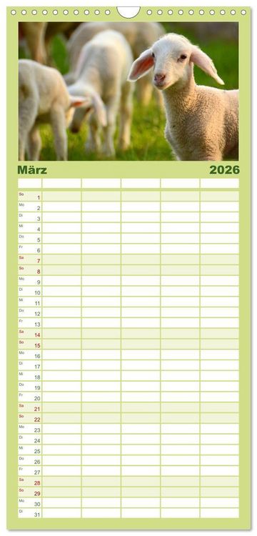 Produktbild: Familienplaner 2026 - Die lieben Kleinen ... Tierkinder einfach zum Knuddeln mit 5 Spalten (Wandkalender, 21 x 45 cm) CALVENDO