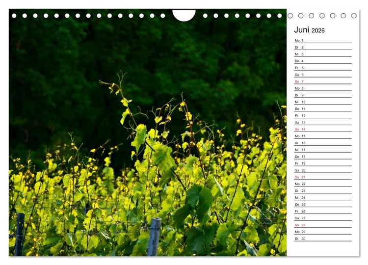 Produktbild: Landschaften des Kraichgaus (Wandkalender 2026 DIN A4 quer), CALVENDO Monatskalender