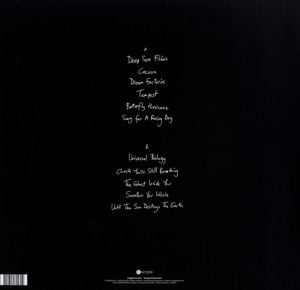 Produktbild: The Faintest Idea (Black Vinyl)