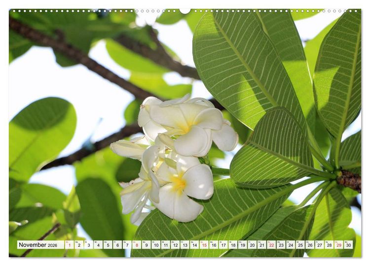 Produktbild: Hawaii the Aloha State (hochwertiger Premium Wandkalender 2026 DIN A2 quer), Kunstdruck in Hochglanz