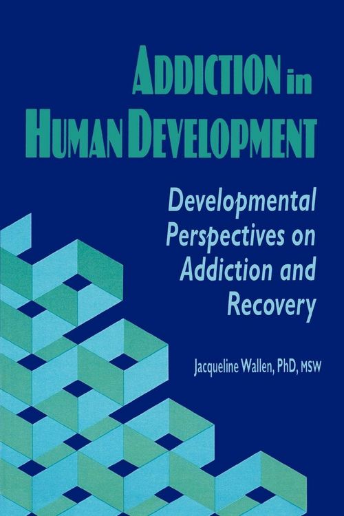 Produktbild: Addiction in Human Development