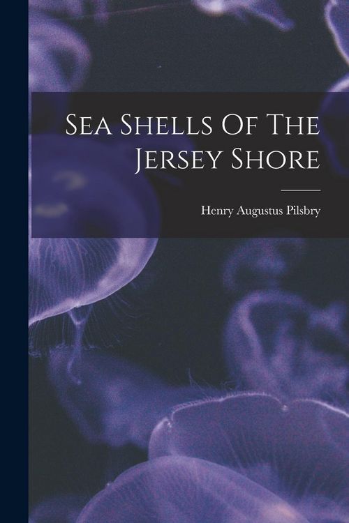 Produktbild: Sea Shells Of The Jersey Shore