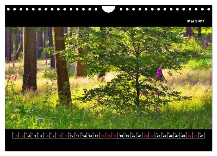 Produktbild: Europa im Breitbild (Wandkalender 2027 DIN A4 quer), CALVENDO Monatskalender