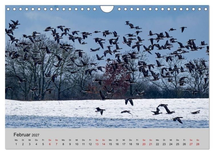 Produktbild: Biosph&auml;renreservat Schaalsee (Wandkalender 2027 DIN A4 quer), CALVENDO Monatskalender