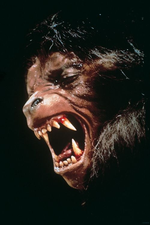 Produktbild: American Werewolf in London