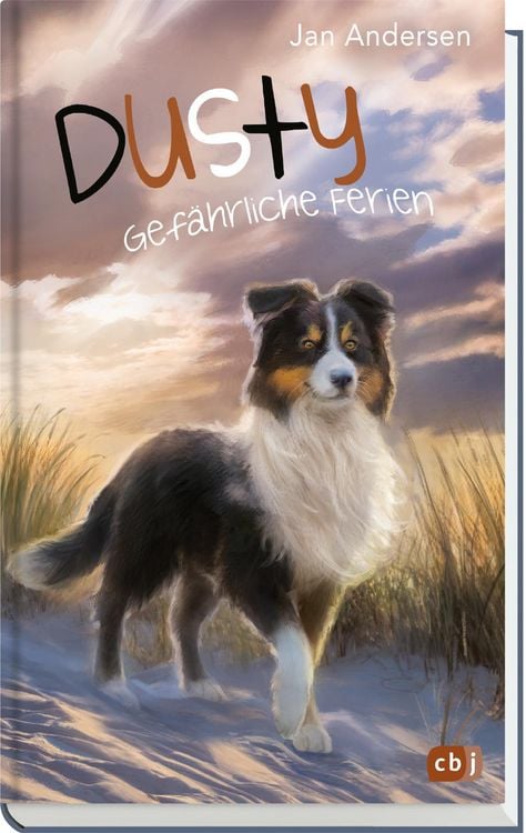 Produktbild: Dusty - Gef&auml;hrliche Ferien