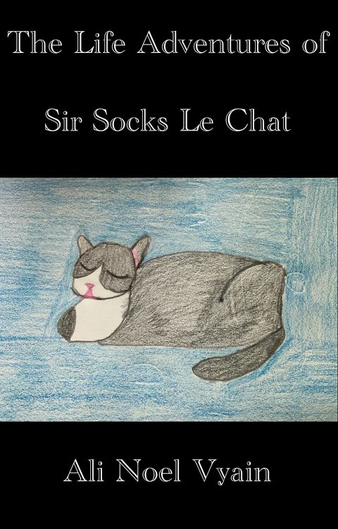 Produktbild: The Life Adventures of Sir Socks Le Chat