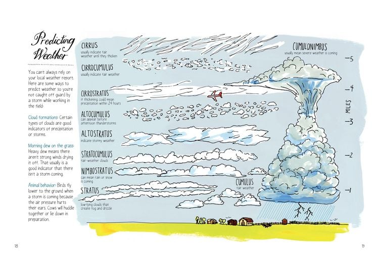 Produktbild: Farm Anatomy